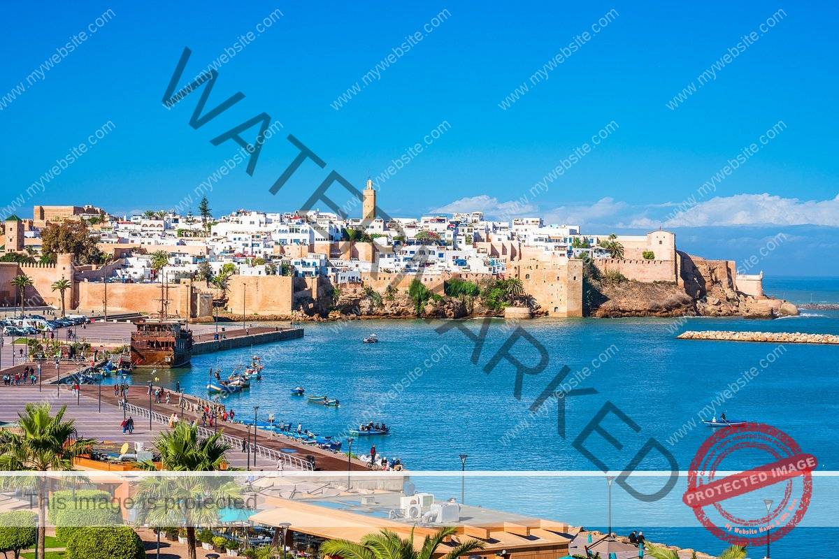 Activités Team Building externes à Rabat, Activités Team Building outdoor à Rabat, Activités Team Building plein air à Rabat, Activités Team Building sur gazon à Rabat, Activités Team Building sur sable à Rabat, Activités Team Building en nature à Rabat, exercices de cohésion d’équipes en plein air à Rabat, idée d’activités Team Building Externes à Rabat, meilleure agence Activités Team Building à Rabat, idée exercices de cohésion d’équipes à Rabat, coach en team building à Rabat,